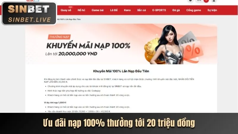 Hình ảnh minh họa các bước đăng ký, nạp tiền, đặt cược và rút tiền tại 8kbets win